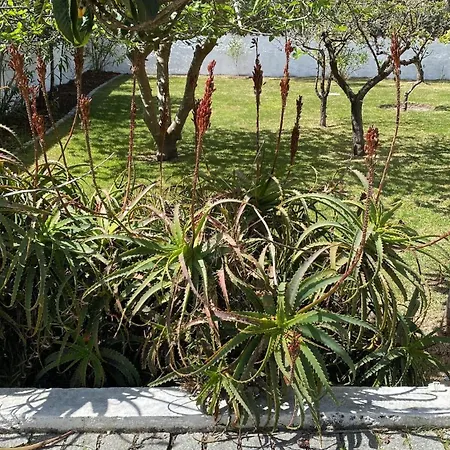 Lagoa And Sea - South Lisbon Villa